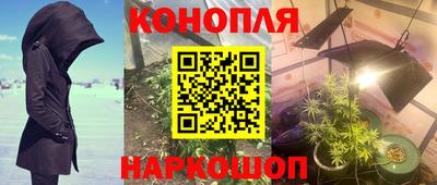 гидропоника Бузулук