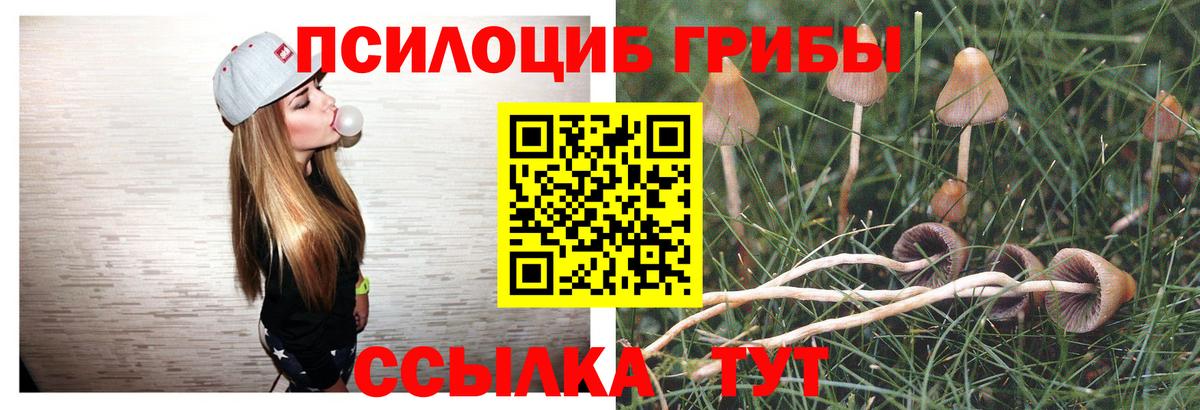 Аргун  Галлюциногенные грибы Magic Shrooms  Вход с VPN 